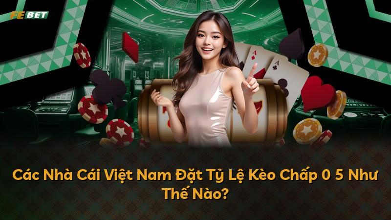 Các Nhà Cái Việt Nam Đặt Tỷ Lệ Kèo Chấp 0 5 Như Thế Nào?