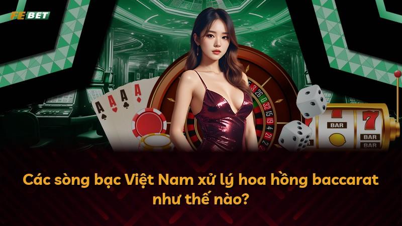 Các sòng bạc Việt Nam xử lý hoa hồng baccarat như thế nào?
